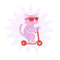 SNACK ATTACK GATO