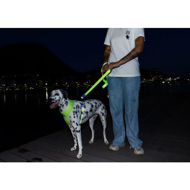 REFLECTIVE HARNESS