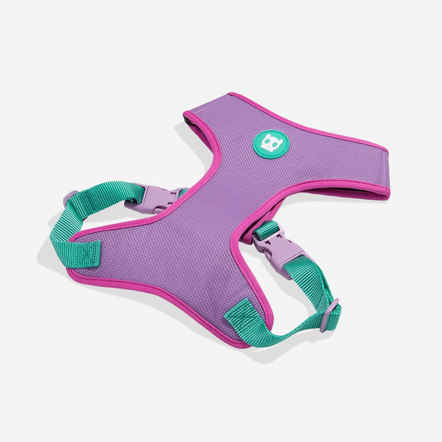 ARNES AJUSTABLE VIOLETA AURA