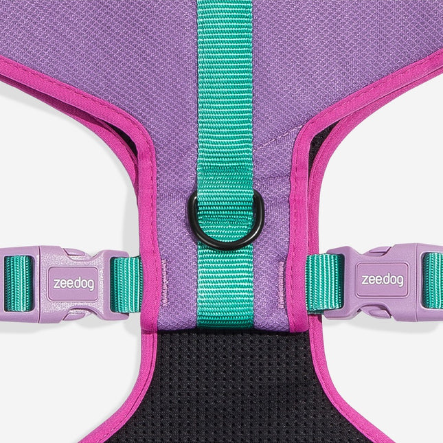 ARNES AJUSTABLE VIOLETA AURA