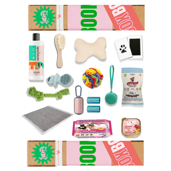 PUPPY WELCOME BOX