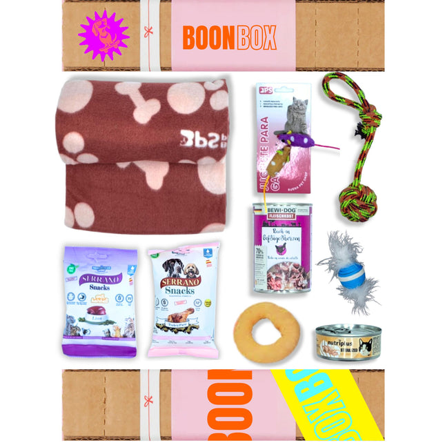 SOLIDARITY BOX