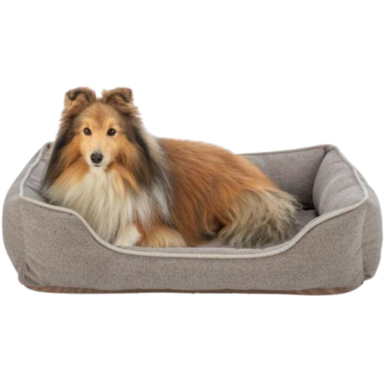 ORTHOPEDIC BED
