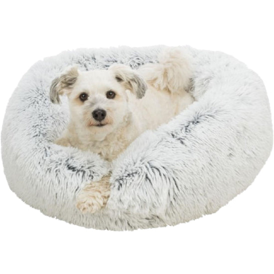 Harvey bed