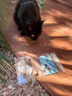snacks deshidratados, 100% naturales para perros y gatos