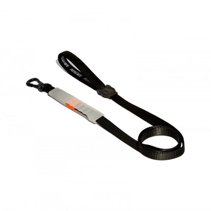 Collection image for: Dog leash