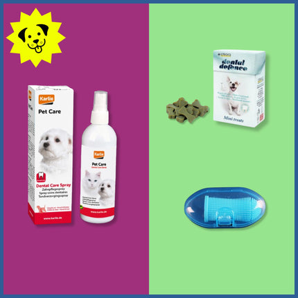 MINI BOX DENTAL