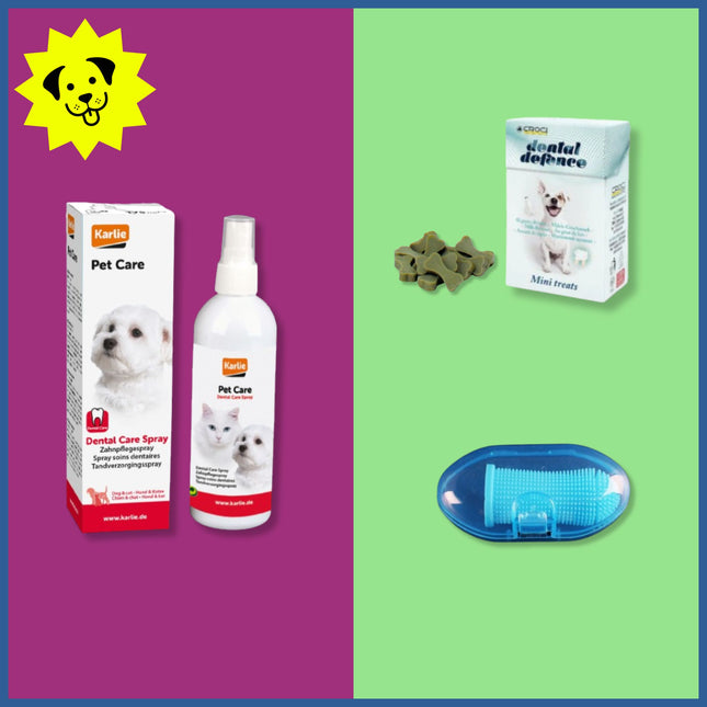 MINI BOX DENTAL