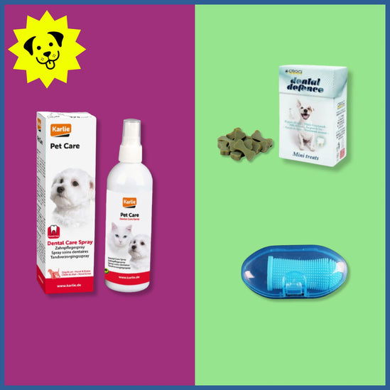 MINI DENTAL BOX