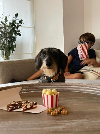 popcorn para perros y gatos