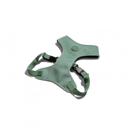 ARNES AJUSTABLE MALLA VERDE AGUA