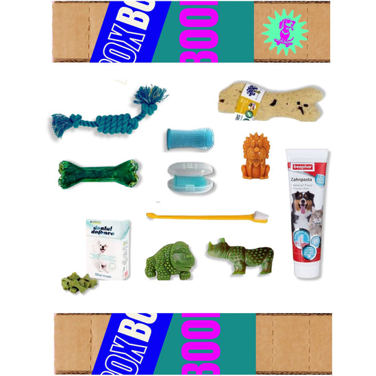 DENTAL BOX
