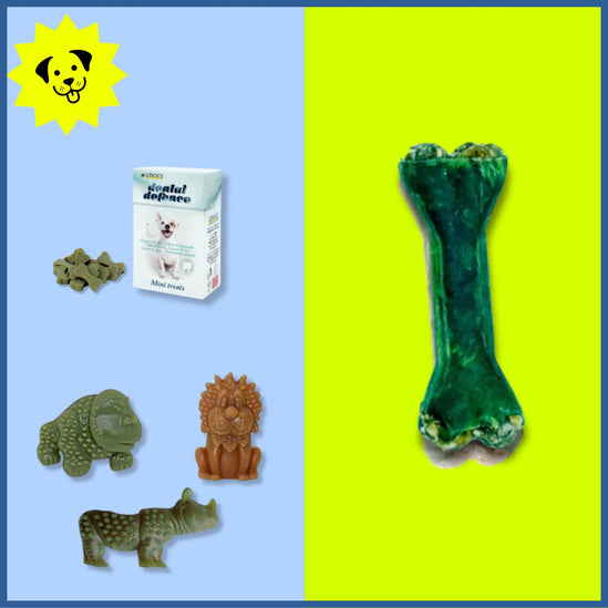 MINI BOX DENTAL TREATS