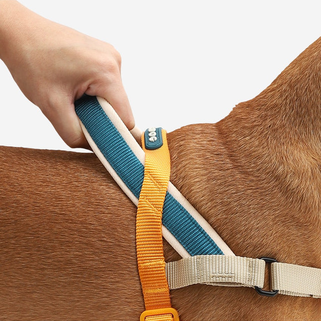 SOFTER-WALK HARNESS